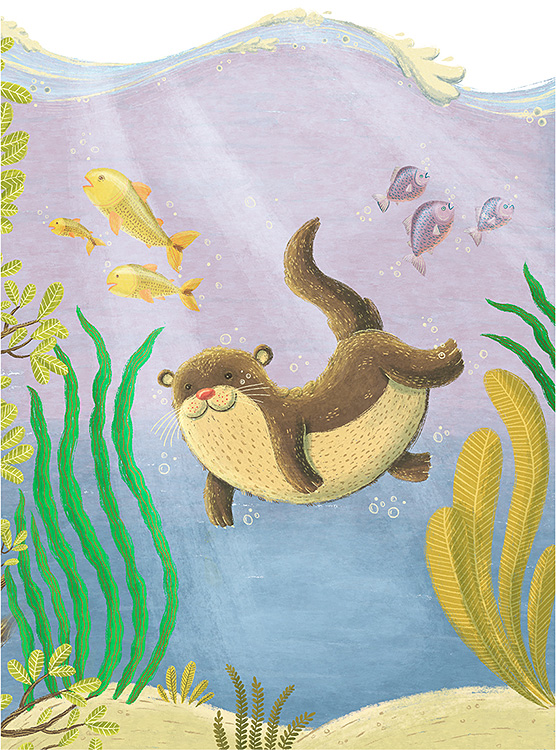 Agencia de ilustración June Illustration, ilustrador Mathias Townsend, brazilian animals, foca con peces
