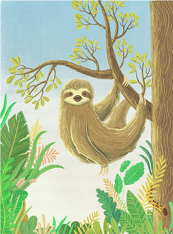 Ilustrador Mathias Townsend, ilustración brazilian animals 3